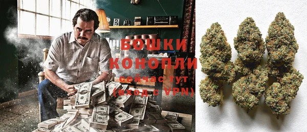 прущие грибы Коряжма