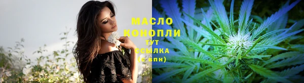 гашик Кодинск