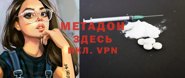 прущие грибы Коряжма