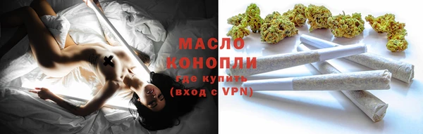 прущие грибы Коряжма