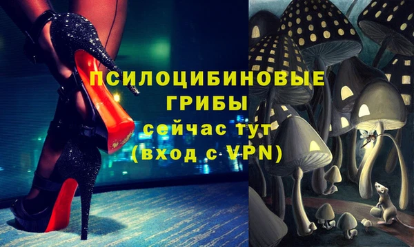 прущие грибы Коряжма