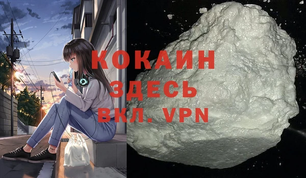 прущие грибы Коряжма