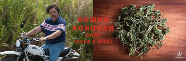 амф Козловка