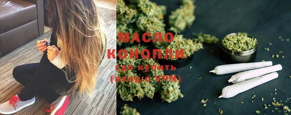 прущие грибы Коряжма