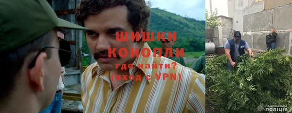 гашик Кодинск