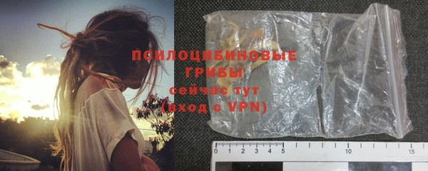 амф Козловка