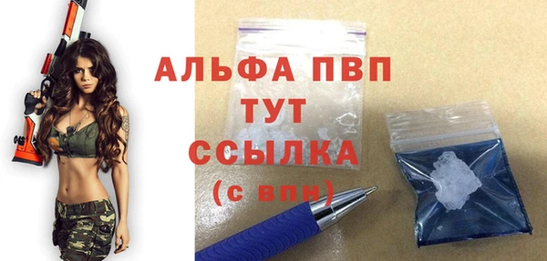 стафф Козельск