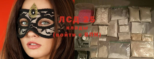 амф Козловка