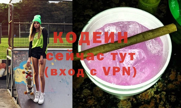 гашик Кодинск