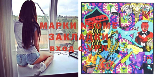 прущие грибы Коряжма