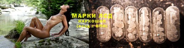 прущие грибы Коряжма