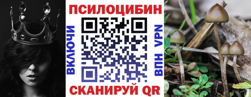 Псилоцибиновые грибы ЛСД  Купить закладки  Боровск 